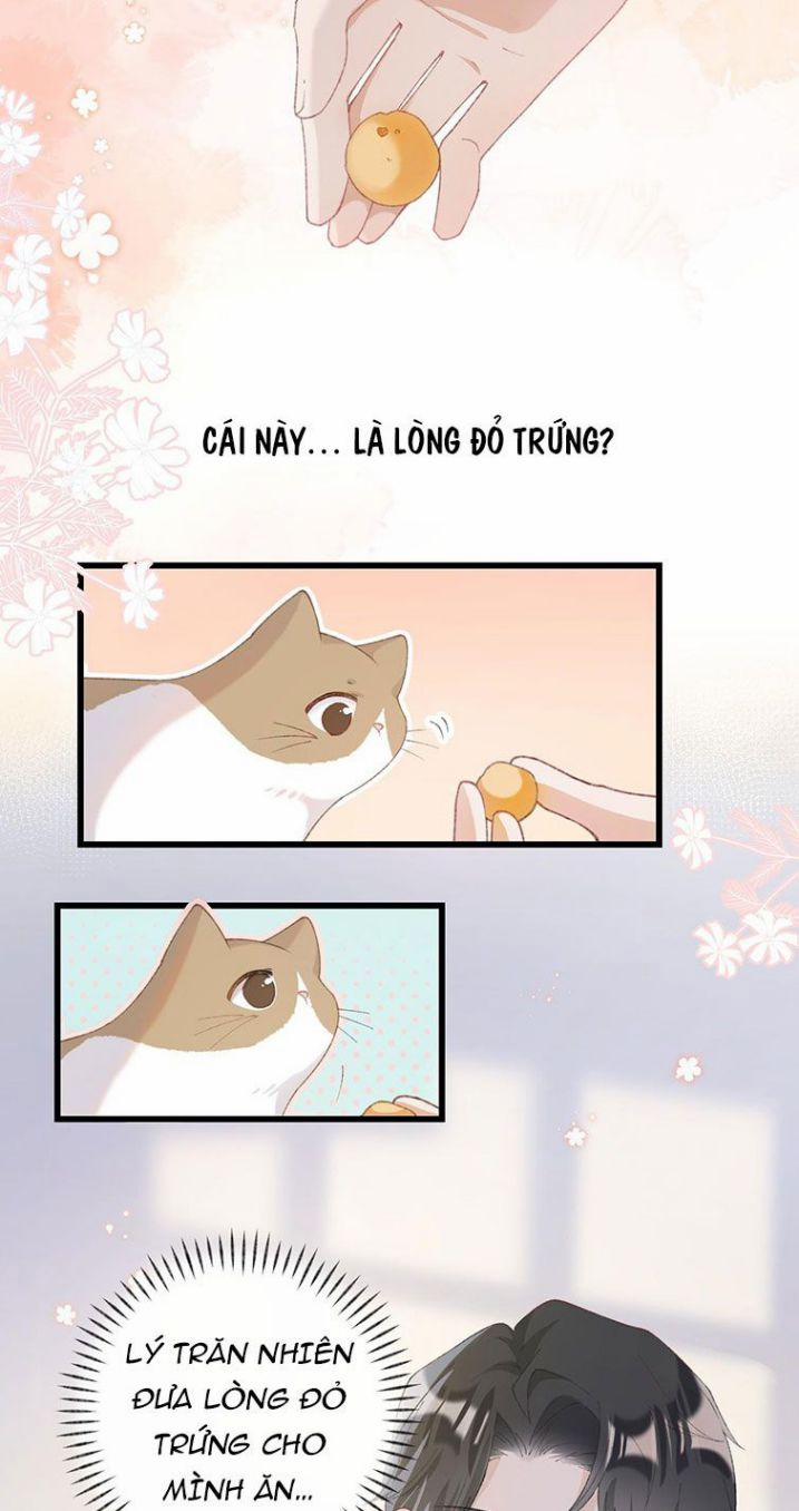 Cà Phê Mèo Phục Thù Ký 7 trang 15