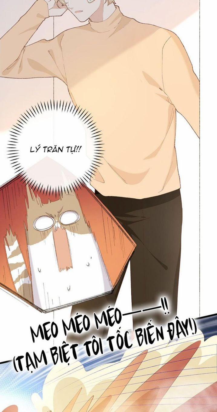 Cà Phê Mèo Phục Thù Ký 7 trang 21