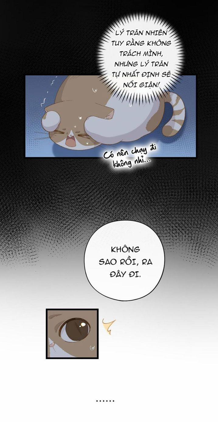 Cà Phê Mèo Phục Thù Ký 7 trang 28