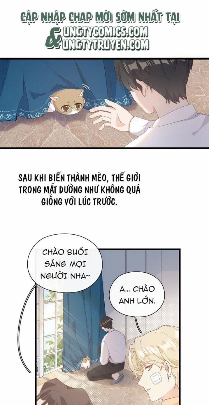 Cà Phê Mèo Phục Thù Ký 7 trang 29