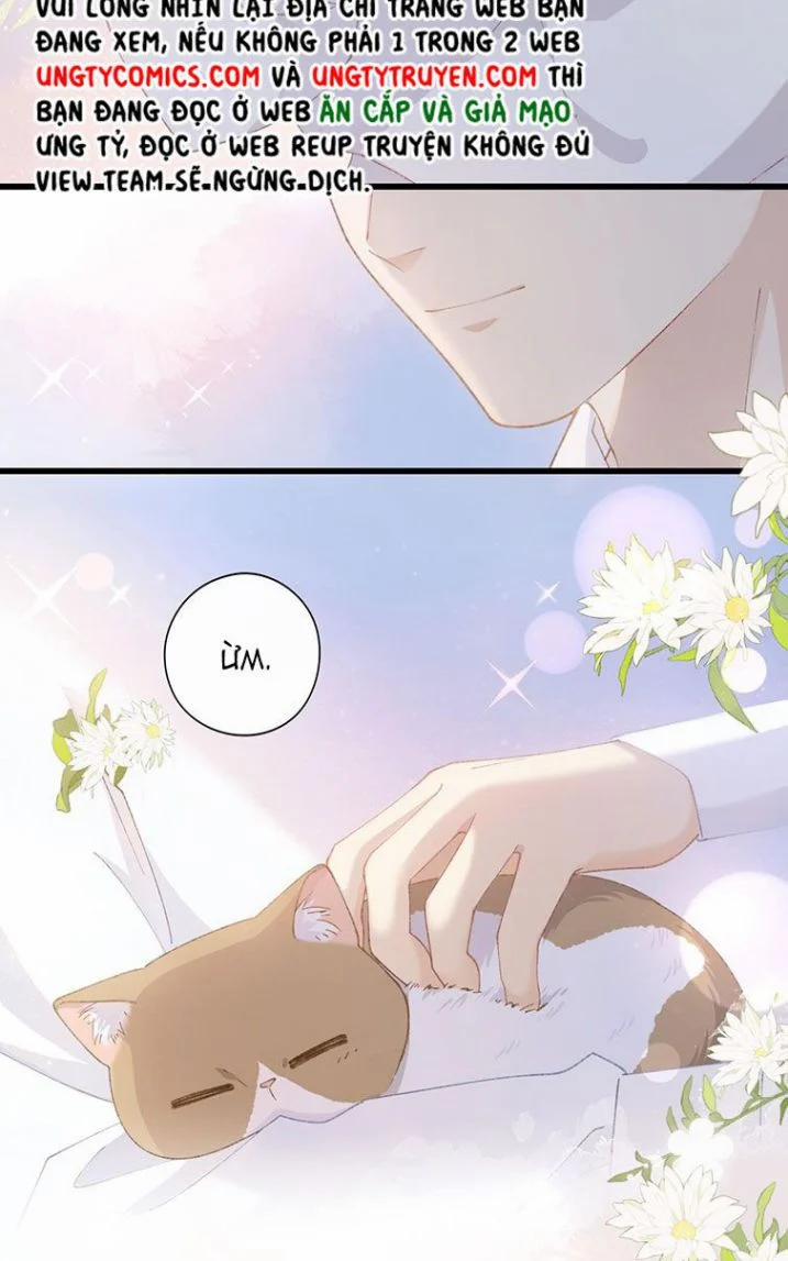 Cà Phê Mèo Phục Thù Ký 7 trang 36