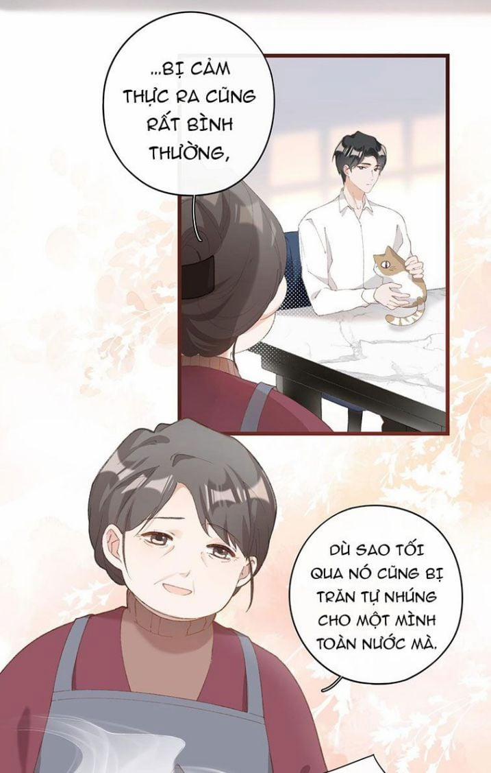 Cà Phê Mèo Phục Thù Ký 7 trang 4
