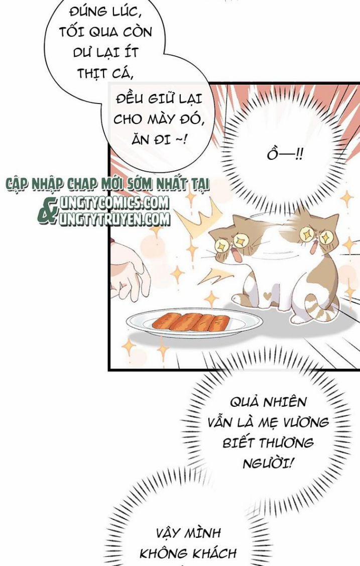 Cà Phê Mèo Phục Thù Ký 7 trang 8