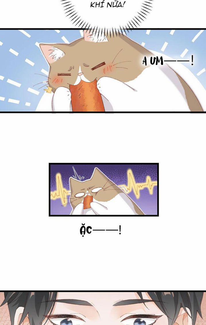 Cà Phê Mèo Phục Thù Ký 7 trang 9