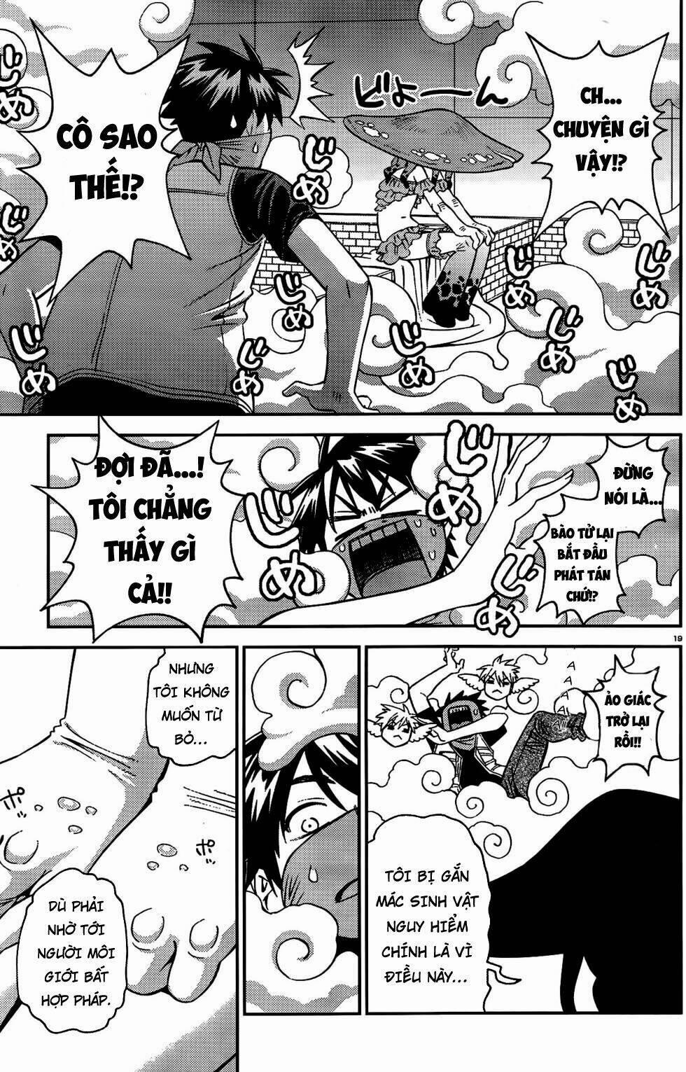 Các Nàng Thú Yêu 46 trang 19