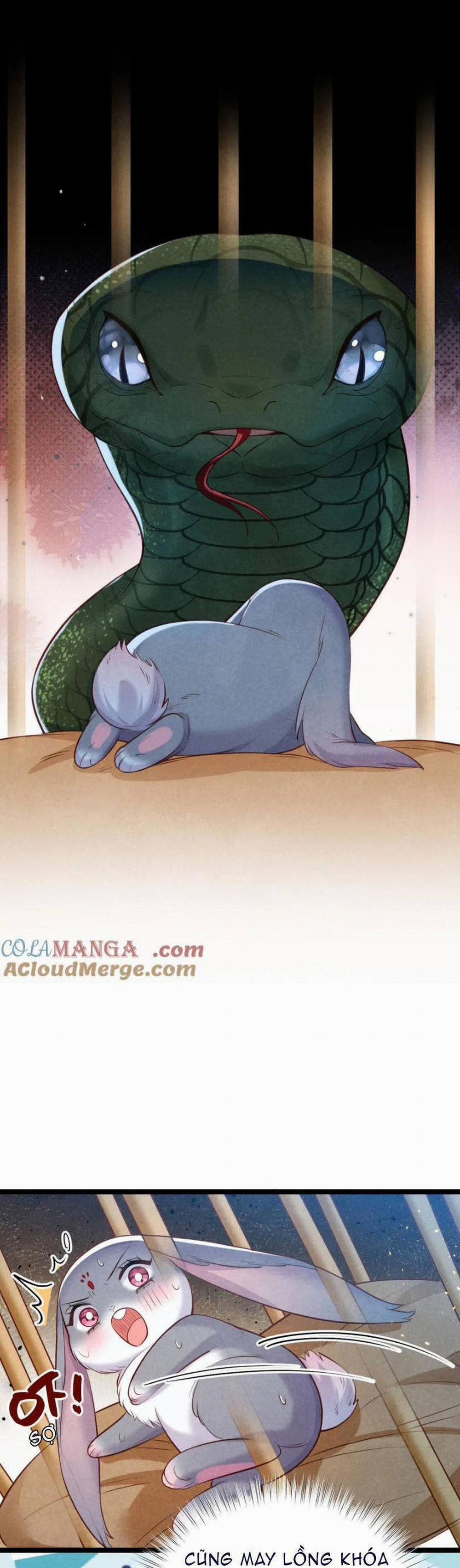 Cách Để Tồn Tại Như Một Cống Phẩm 33 trang 19