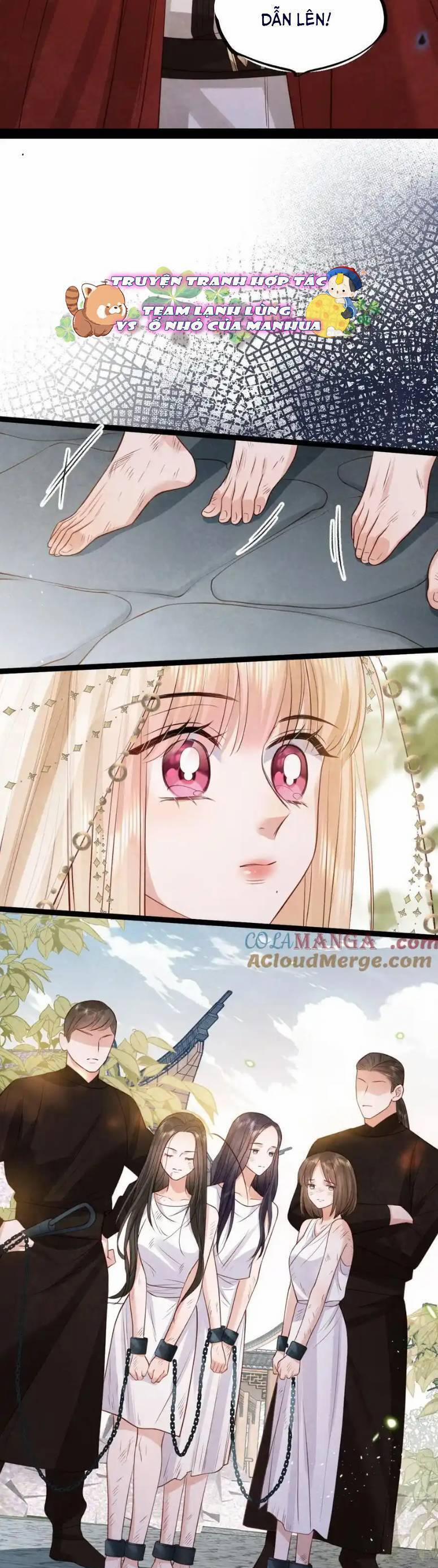 Cách Để Tồn Tại Như Một Cống Phẩm 39 trang 12