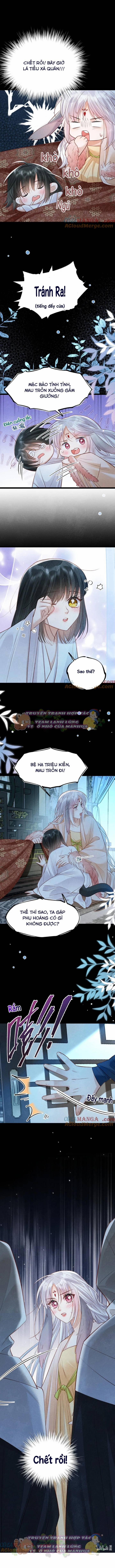 Cách Để Tồn Tại Như Một Cống Phẩm 42 trang 4