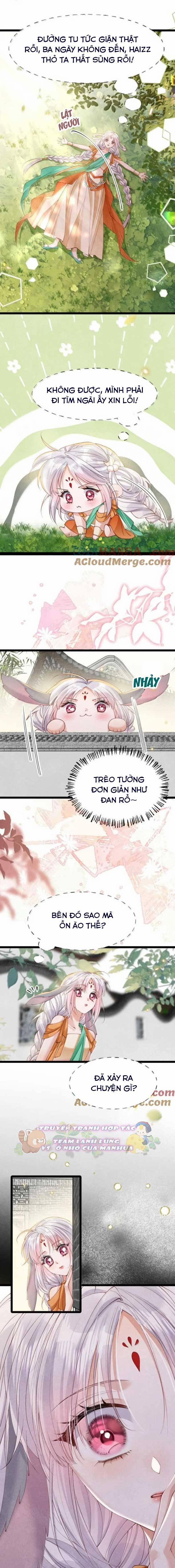 Cách Để Tồn Tại Như Một Cống Phẩm 43 trang 3