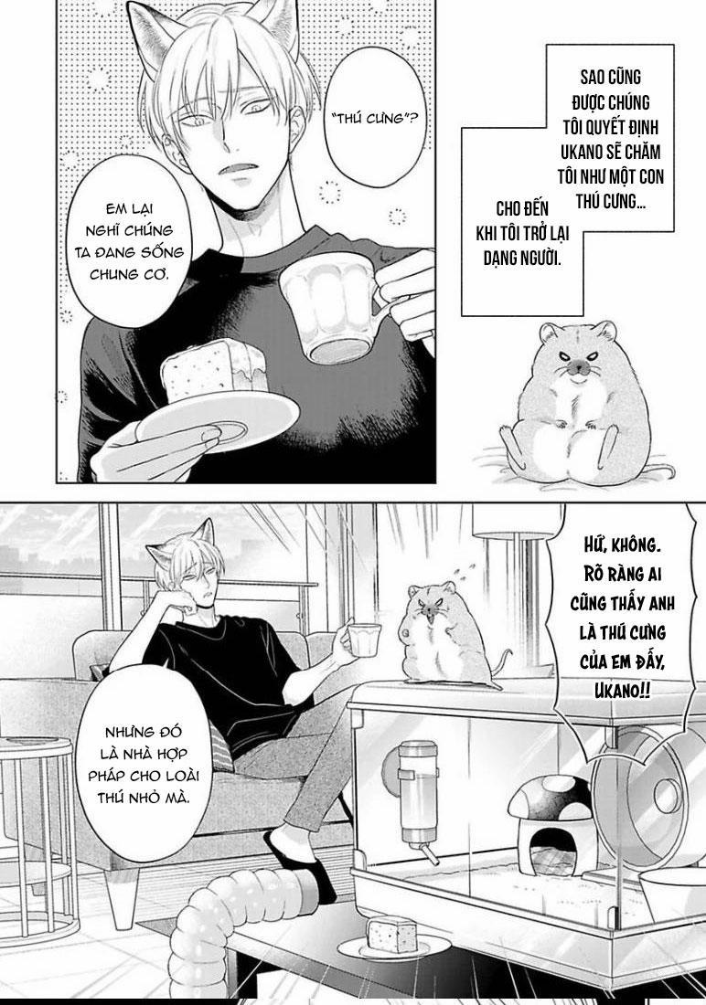 Cách Khiến Một Omega Trở Nên Ngon Miệng 10 End SS2 trang 17