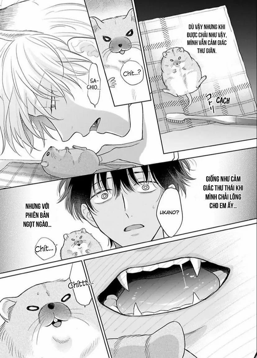 Cách Khiến Một Omega Trở Nên Ngon Miệng 8 trang 20