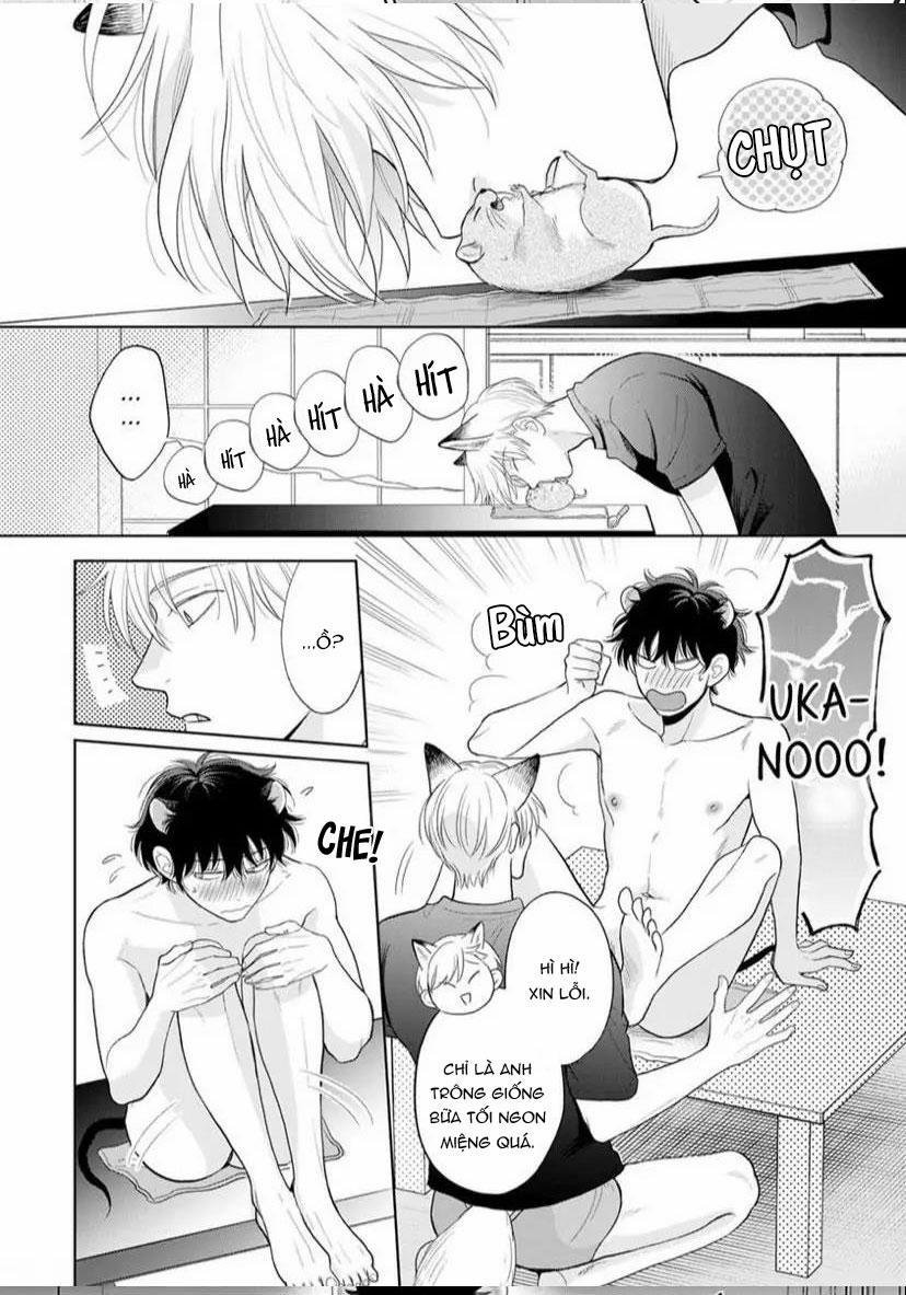 Cách Khiến Một Omega Trở Nên Ngon Miệng 8 trang 21