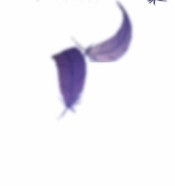 Cách Mà Kỵ Sĩ Sống Như Tiểu Thư 93.2 trang 39