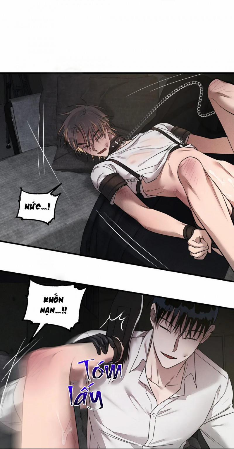 Cách Nuôi Một Chú Chó 3 trang 30