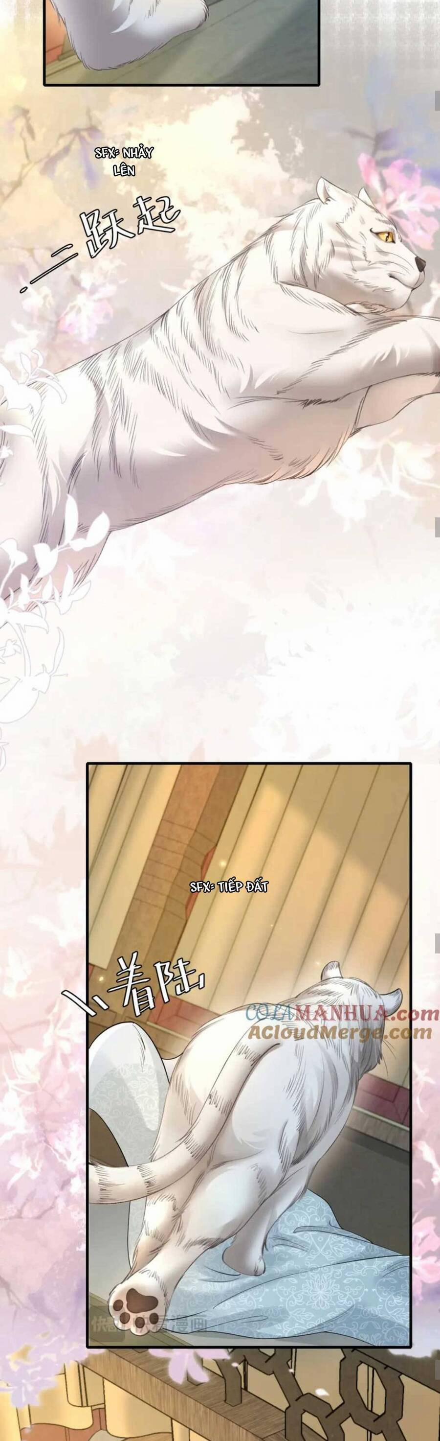 Cách Thức Sinh Tồn Của Pháo Hôi Khuê Nữ 195 trang 21