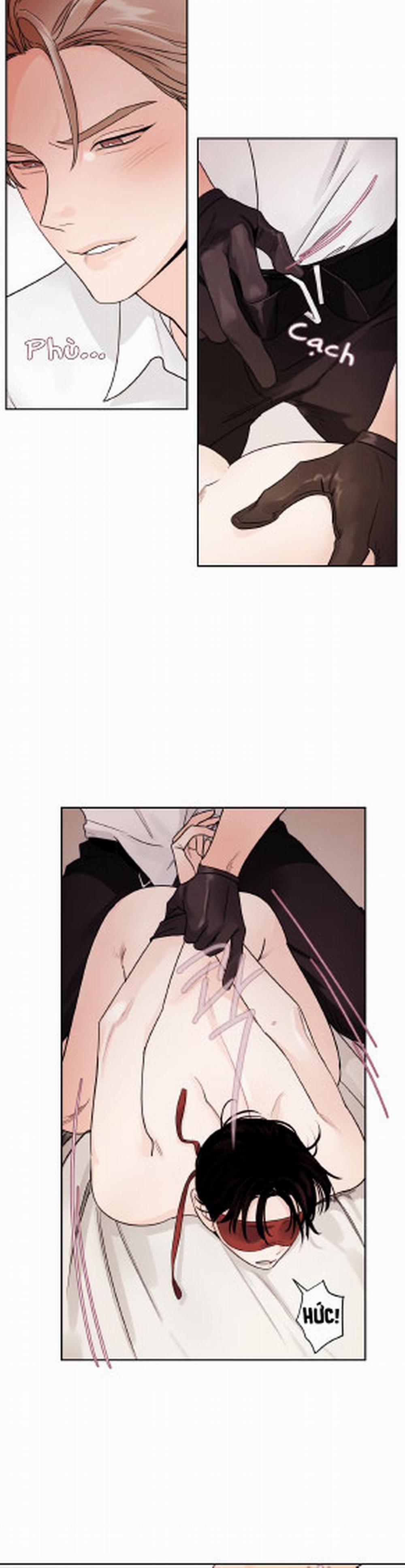 Cái Bóng Của Tôi 11 trang 17