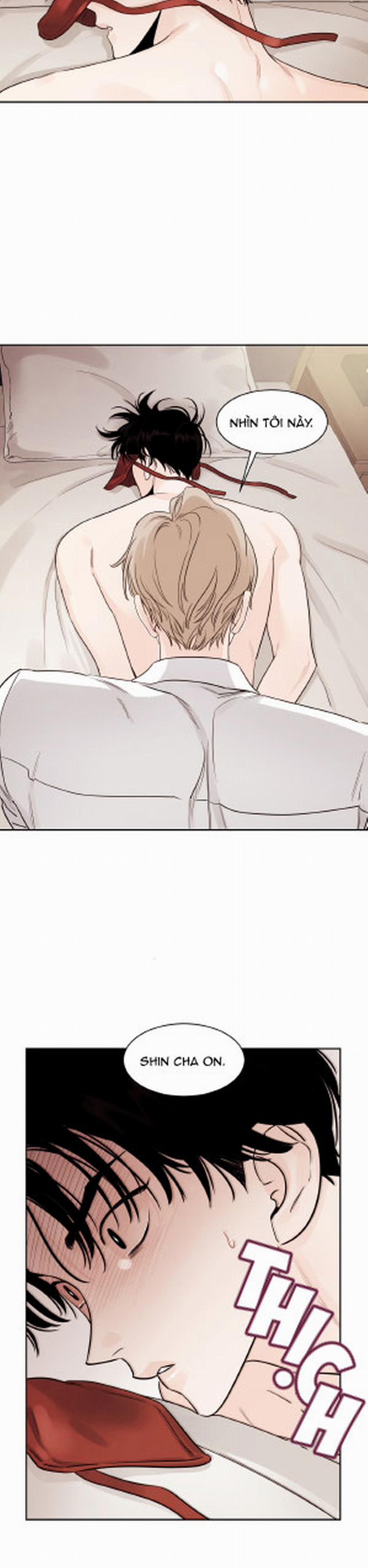 Cái Bóng Của Tôi 11 trang 20