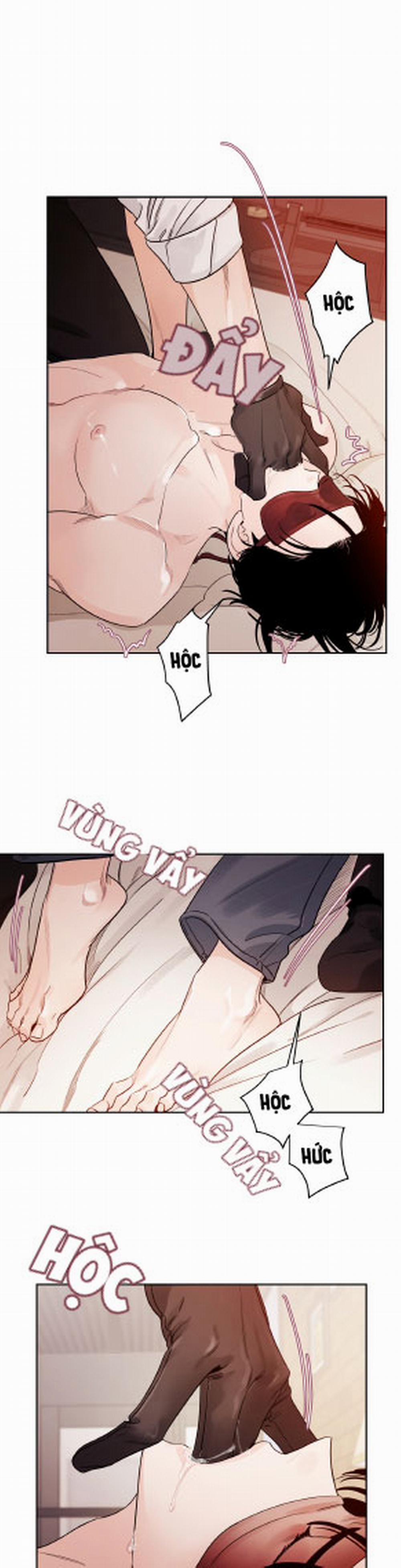 Cái Bóng Của Tôi 11 trang 8