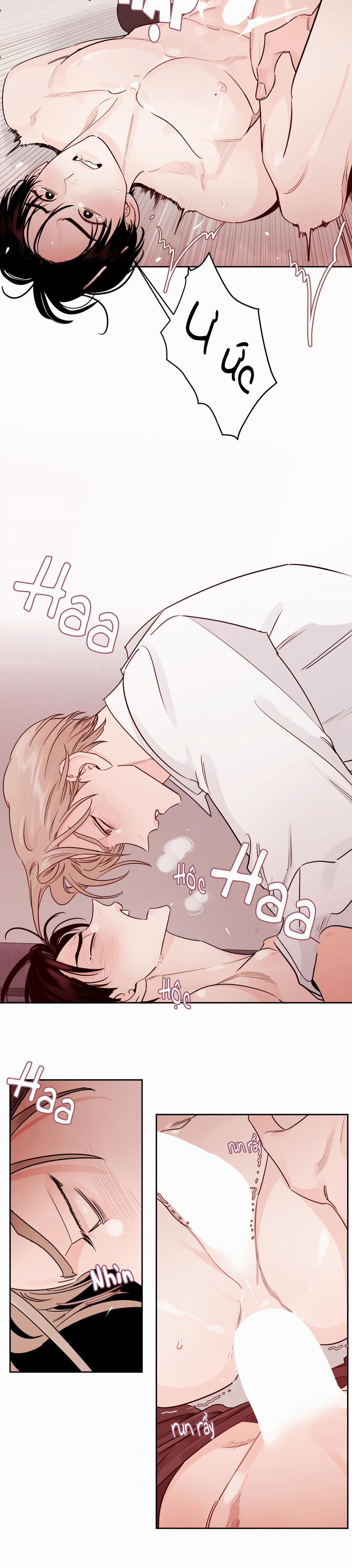 Cái Bóng Của Tôi 12 trang 14