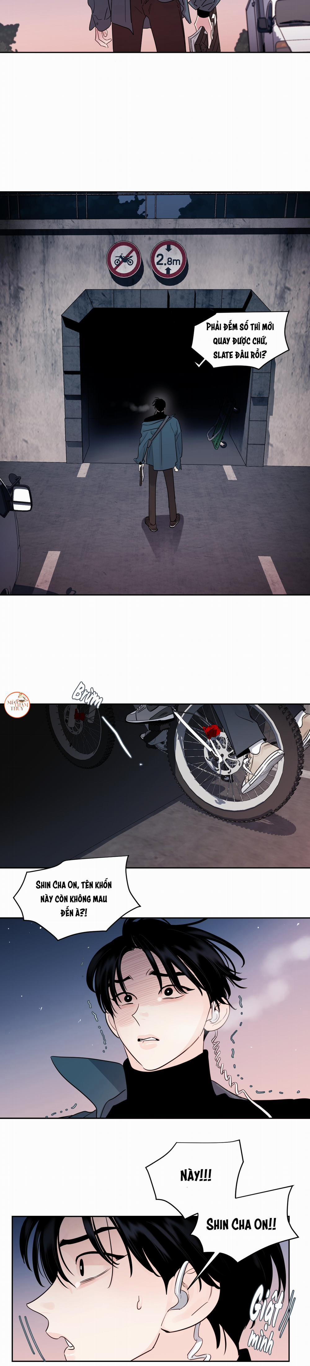 Cái Bóng Của Tôi 13 trang 18
