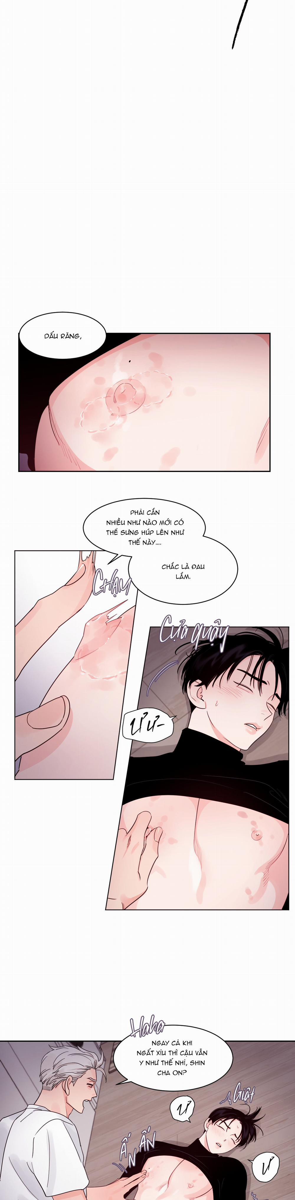 Cái Bóng Của Tôi 16 trang 3