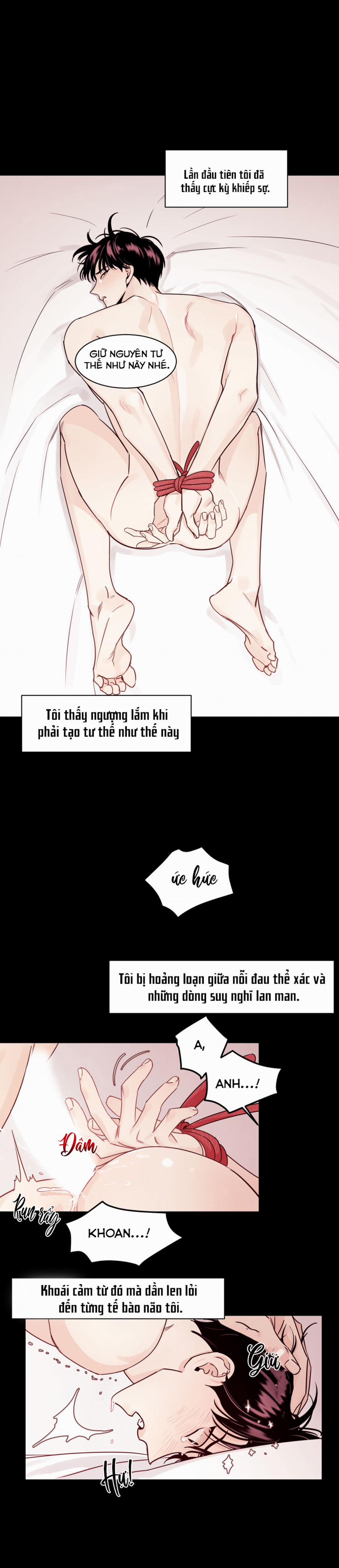 Cái Bóng Của Tôi 2 trang 7