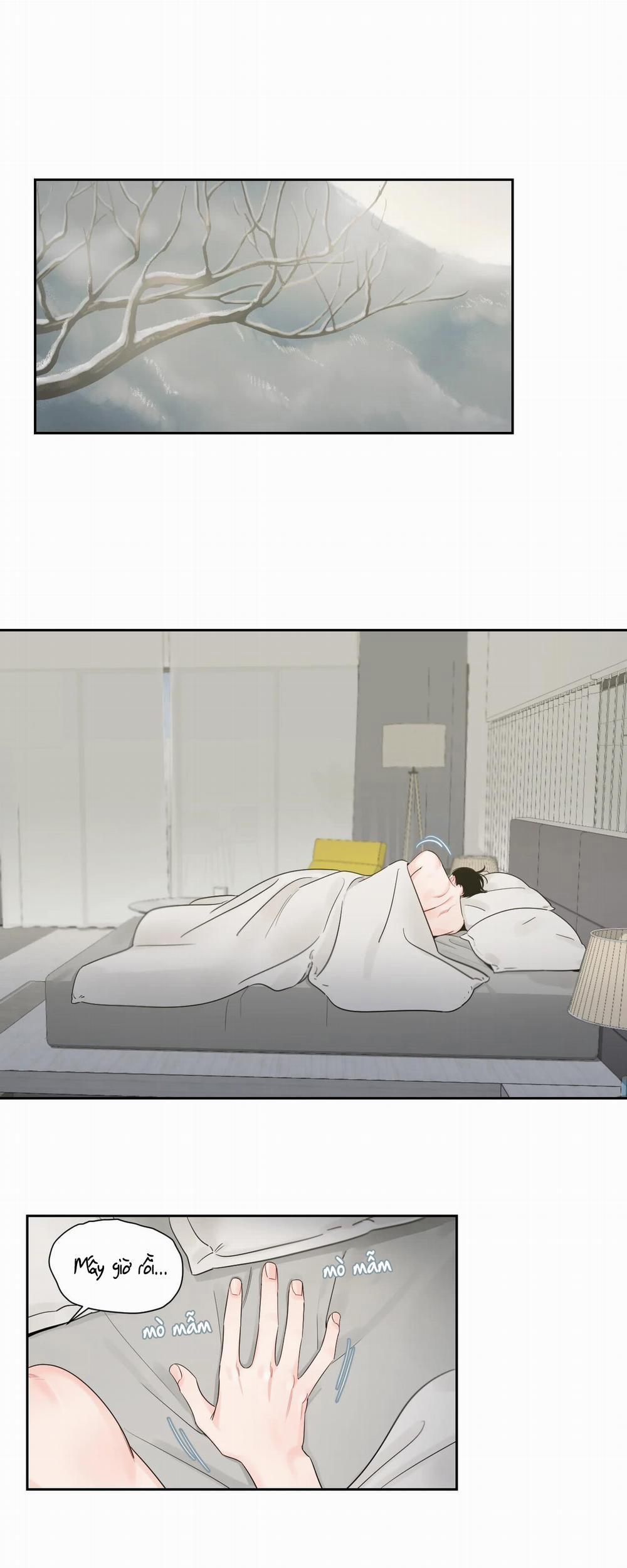 Cái Bóng Của Tôi 21 trang 5