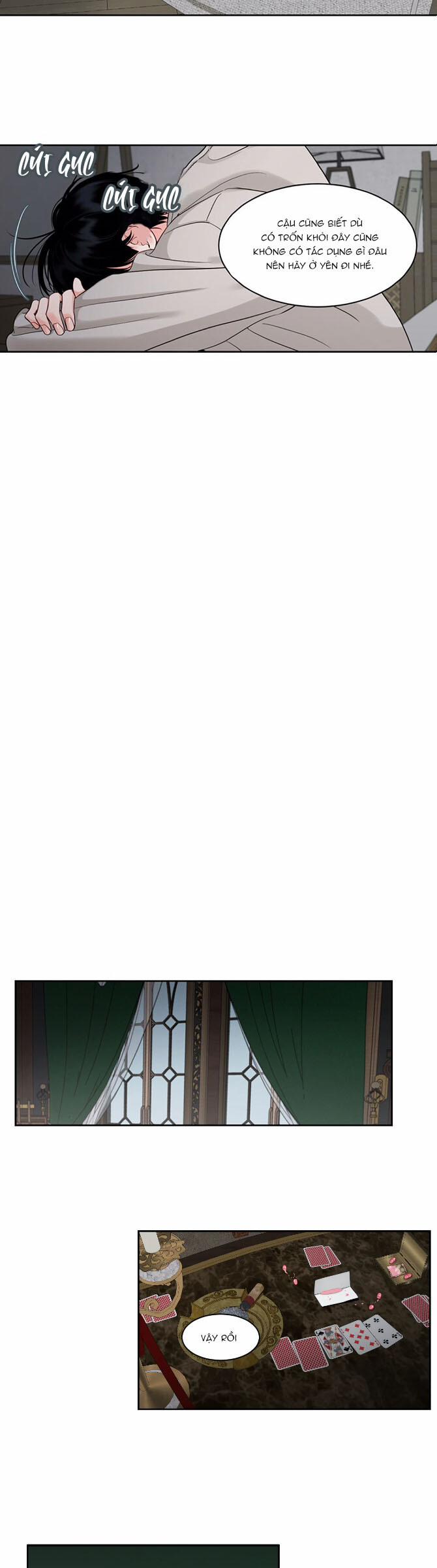 Cái Bóng Của Tôi 33 trang 10