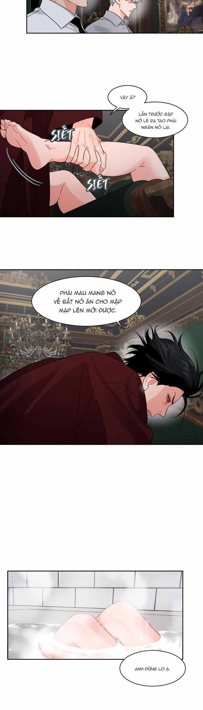 Cái Bóng Của Tôi 33 trang 17