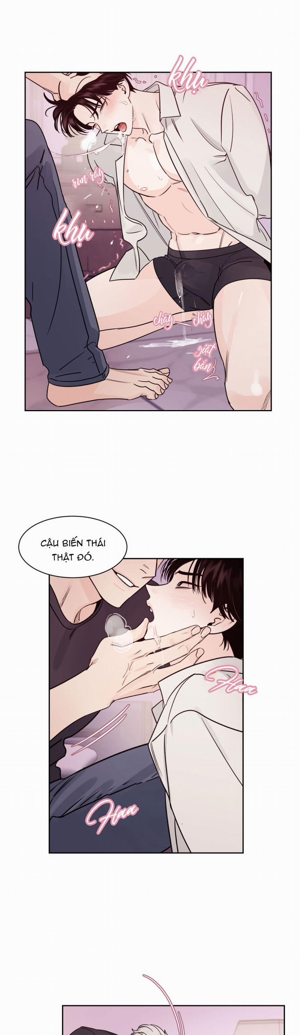 Cái Bóng Của Tôi 6 trang 11