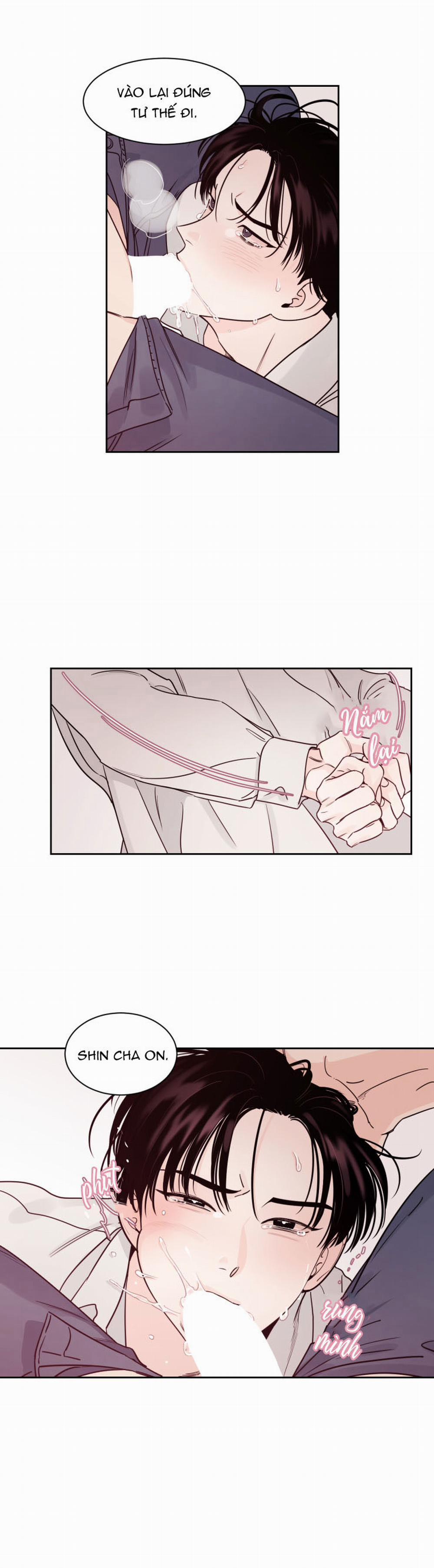 Cái Bóng Của Tôi 6 trang 8