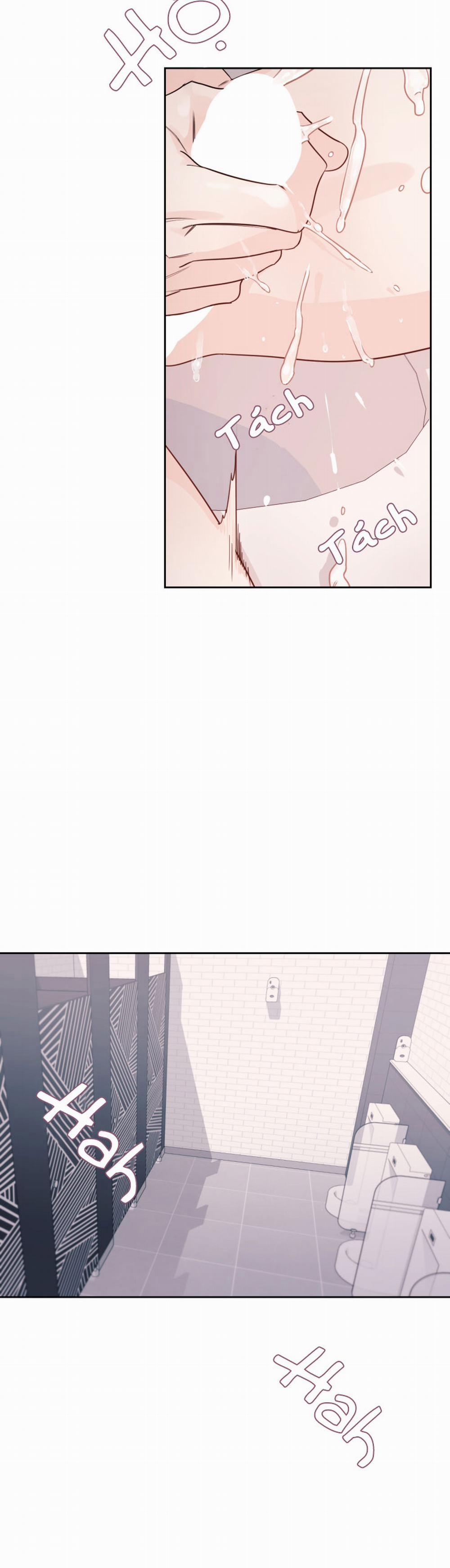 Cái Bóng Của Tôi 9 trang 13