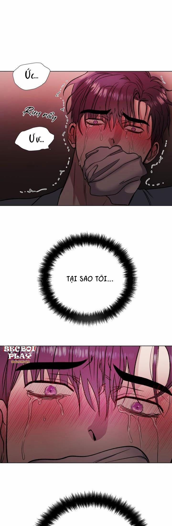 Cái Bóng Sau Song Cửa Sắt 1 trang 2