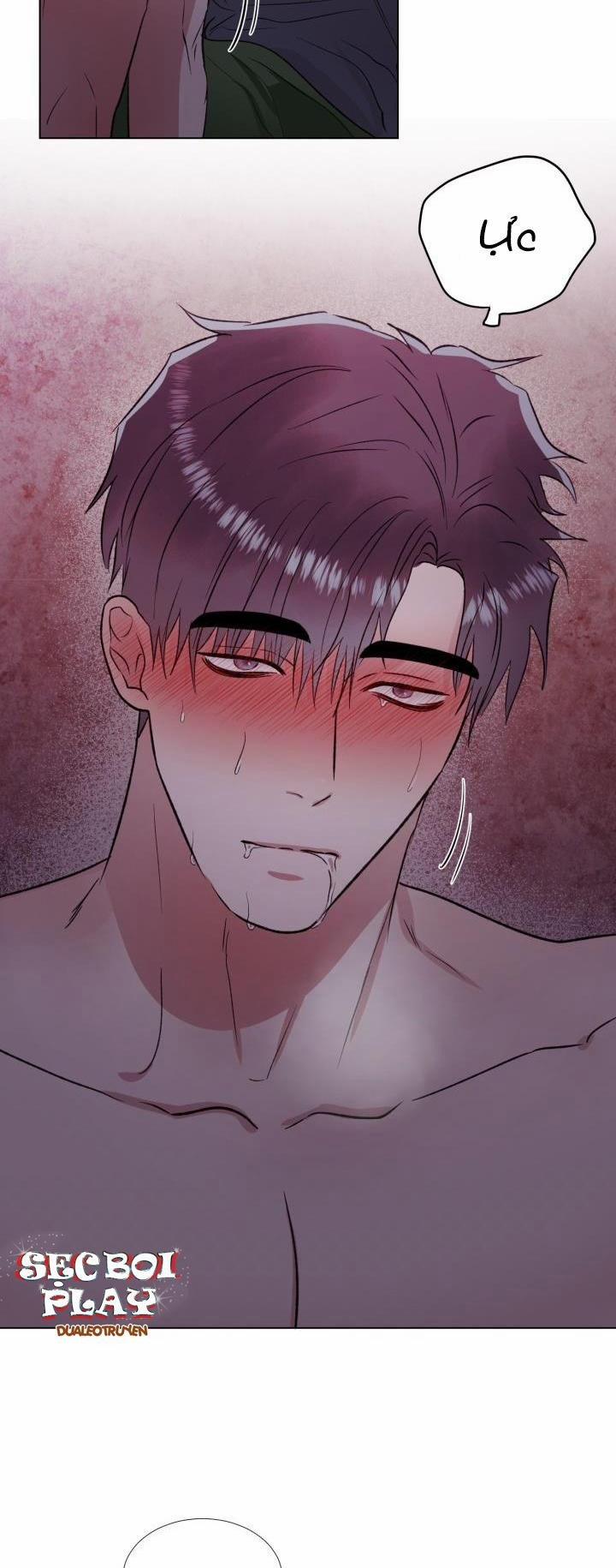 Cái Bóng Sau Song Cửa Sắt 10 trang 19