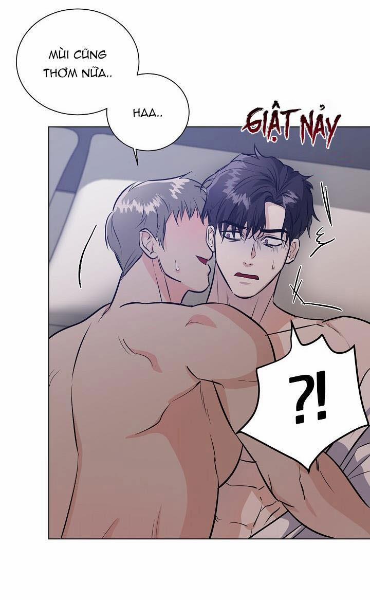 Cái Bóng Sau Song Cửa Sắt 11 trang 19