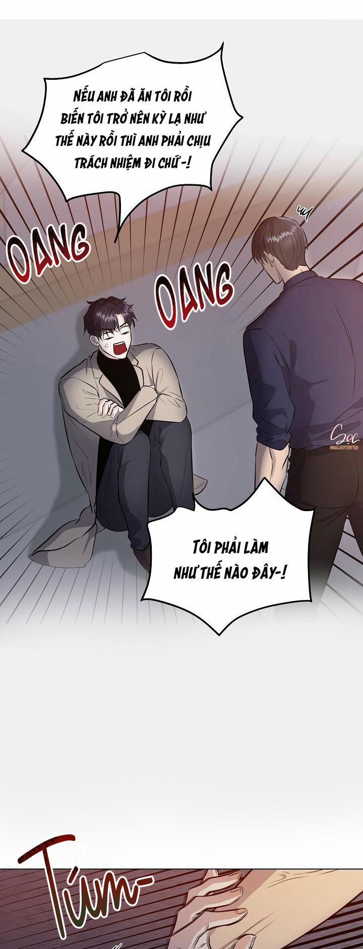 Cái Bóng Sau Song Cửa Sắt 12 trang 20