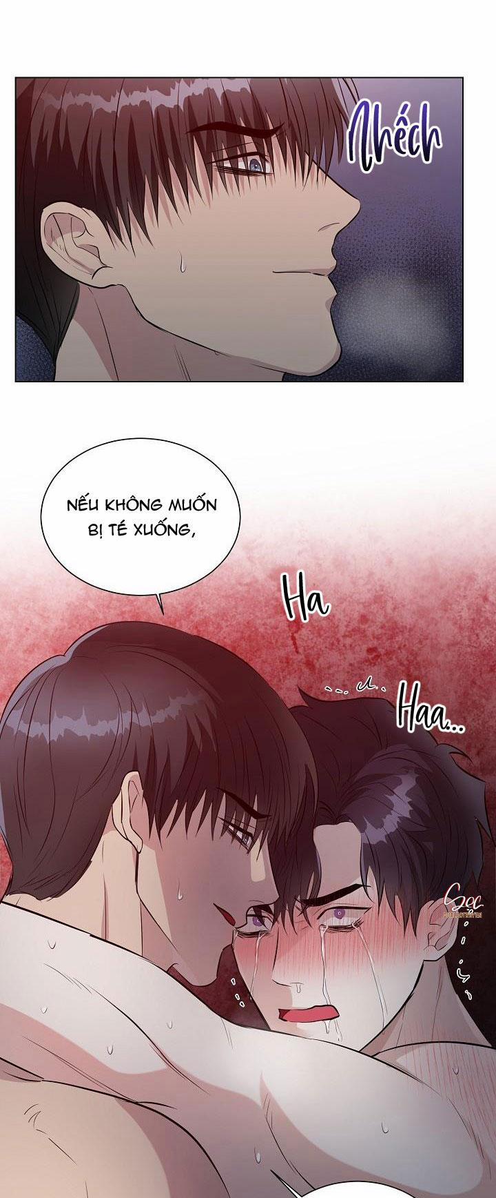 Cái Bóng Sau Song Cửa Sắt 12 trang 41