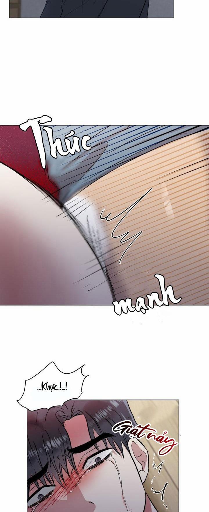 Cái Bóng Sau Song Cửa Sắt 3 trang 11