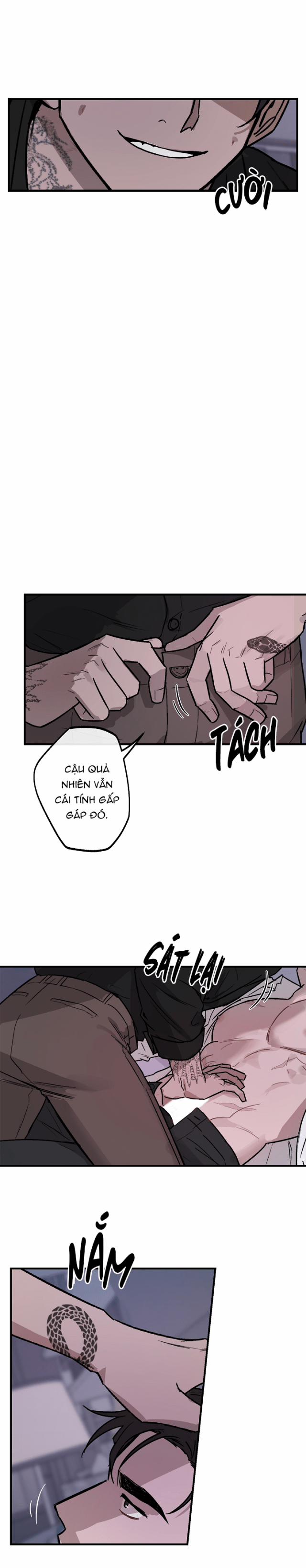 Cái Giá Của Sự Phản Bội 2.5 trang 3