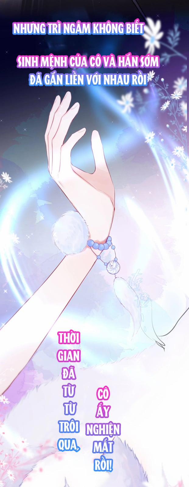 Cạm Bẫy Của Hồ Ly 0 trang 17