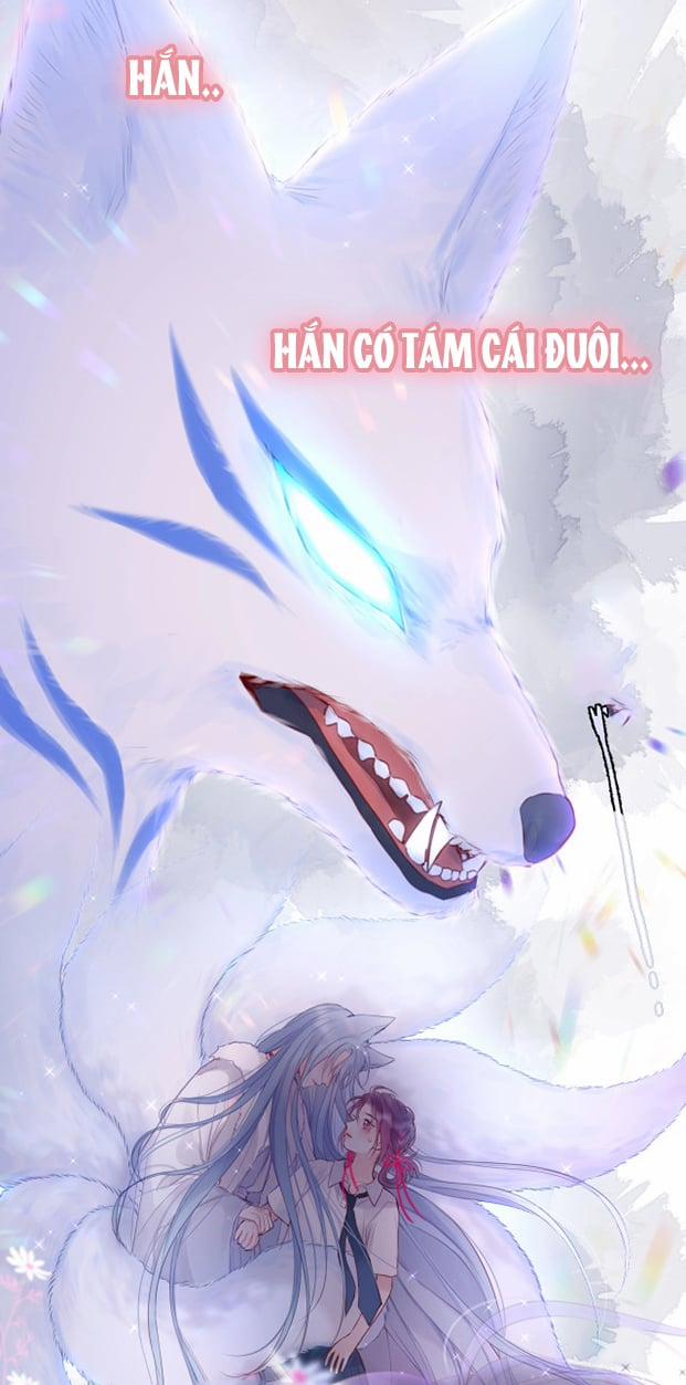 Cạm Bẫy Của Hồ Ly 0 trang 7