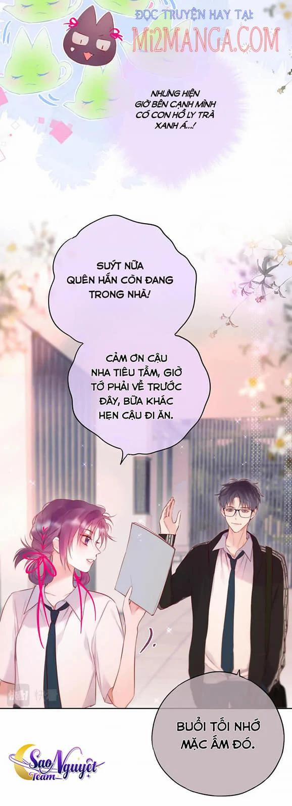 Cạm Bẫy Của Hồ Ly 11.5 trang 1