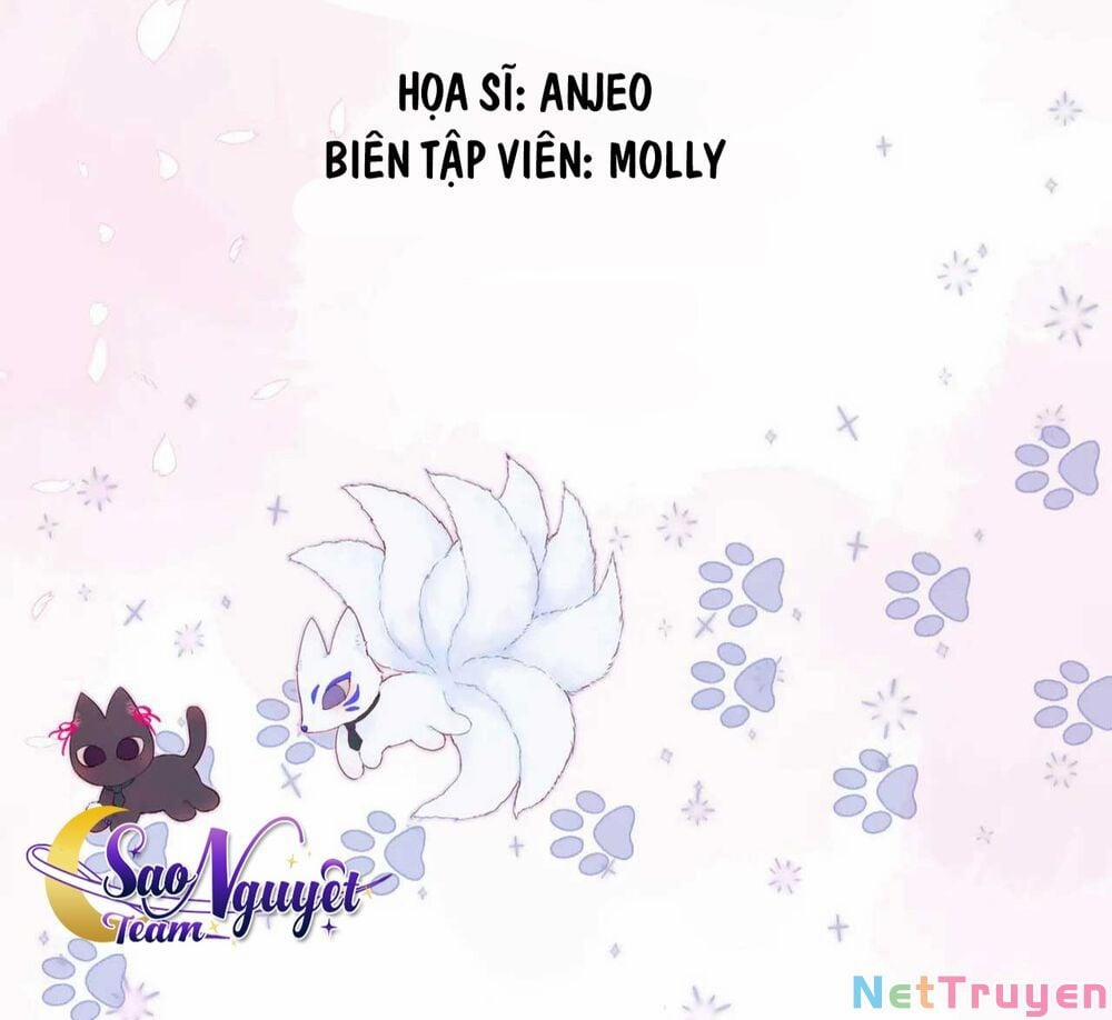 Cạm Bẫy Của Hồ Ly 11 trang 1