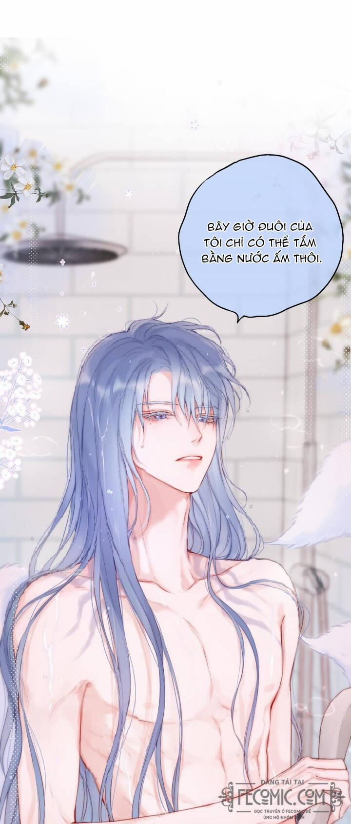 Cạm Bẫy Của Hồ Ly 36 trang 0