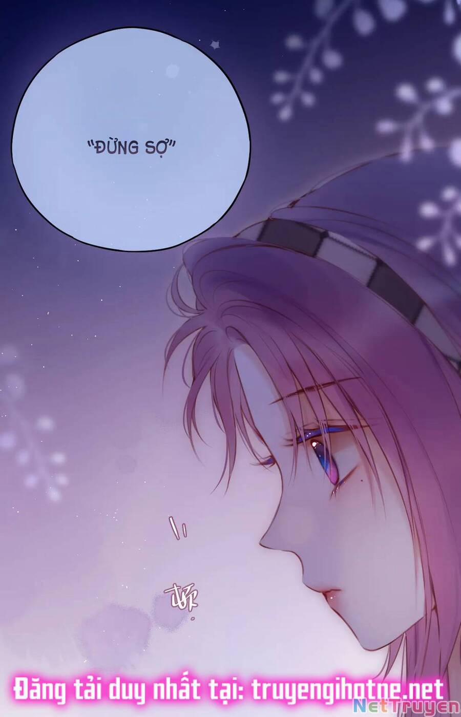 Cạm Bẫy Của Hồ Ly 48 trang 11