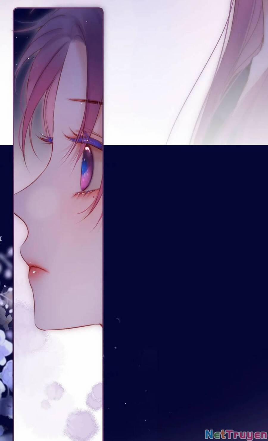 Cạm Bẫy Của Hồ Ly 48 trang 12