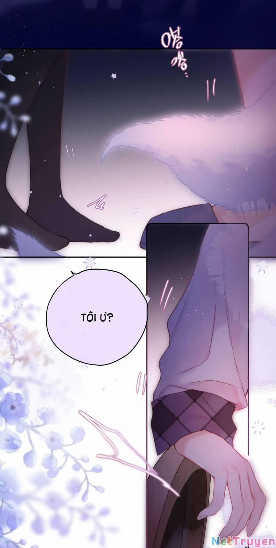 Cạm Bẫy Của Hồ Ly 48 trang 17