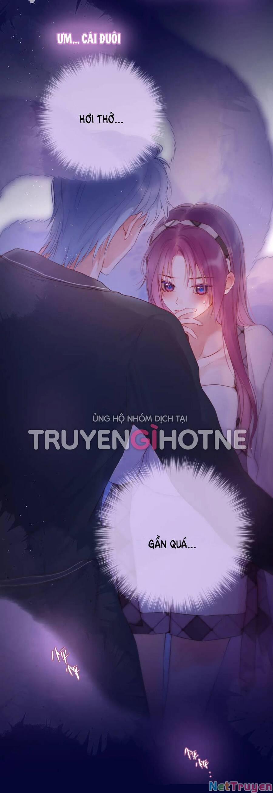 Cạm Bẫy Của Hồ Ly 48 trang 20