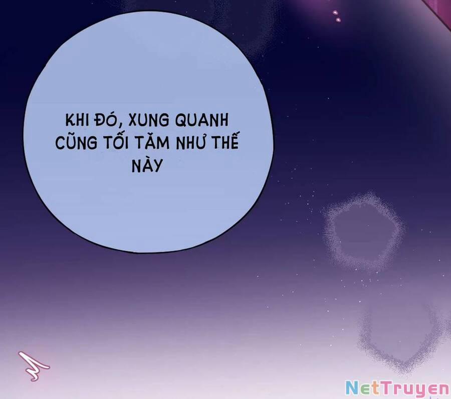 Cạm Bẫy Của Hồ Ly 48 trang 24