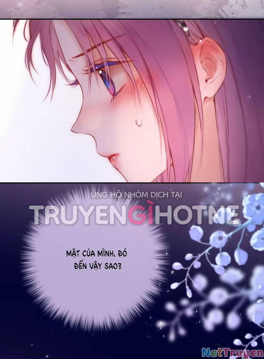 Cạm Bẫy Của Hồ Ly 49 trang 2